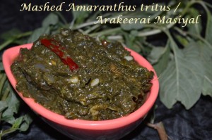 Mashed Amranthus Tritus / Arakeerai Masiyal