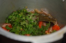 With coriander and mint leaves