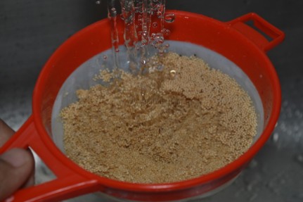 Rajgira seeds / Amaranth seeds getting rinsed in water